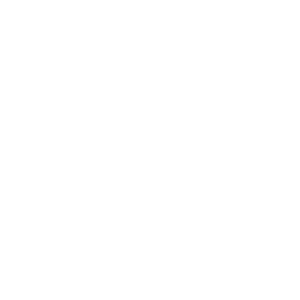 cruelty free and vegan